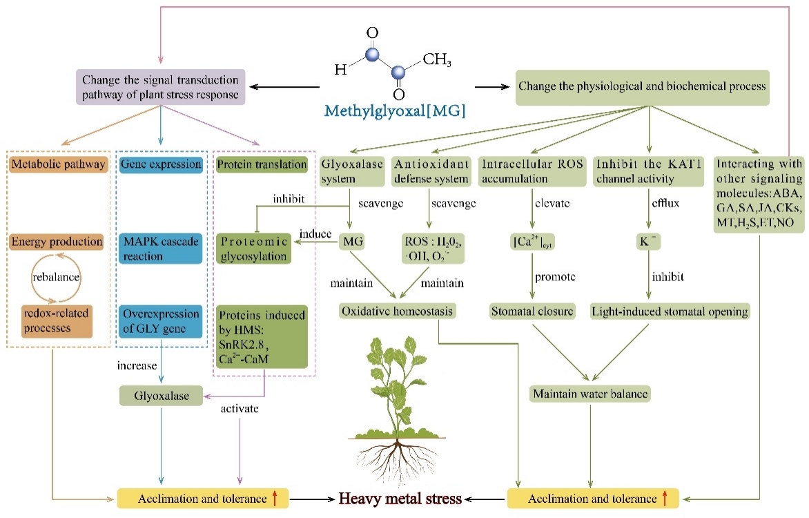 图片1_59747图片1